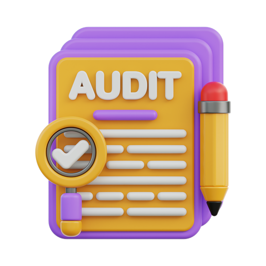 Website & Brand Audit